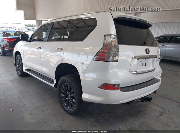 JTJAM7BX7N5304882 2022 LEXUS GX 460 White Задня ліва чверть