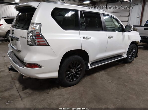 JTJAM7BX8P5355584 2023 LEXUS GX 460 White Trasero derecho