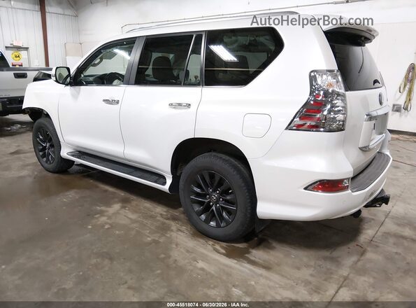 JTJAM7BX8P5355584 2023 LEXUS GX 460 White Trasero izquierdo