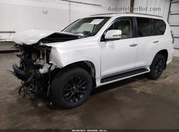 JTJAM7BX8P5355584 2023 LEXUS GX 460 White Vista tres cuartos delantera izquierda