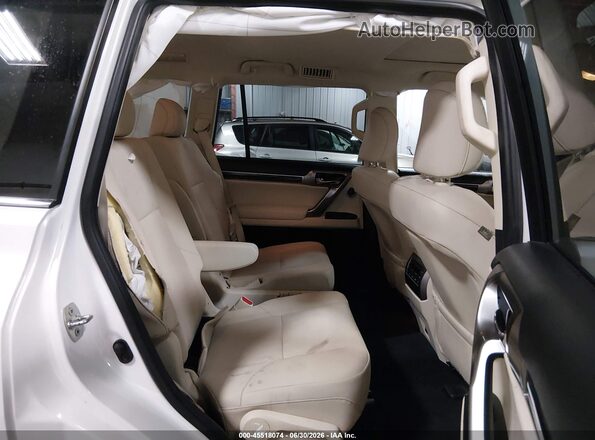 JTJAM7BX8P5355584 2023 LEXUS GX 460 White Vista de la etiqueta del VIN