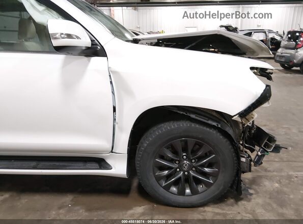JTJAM7BX8P5355584 2023 LEXUS GX 460 White 