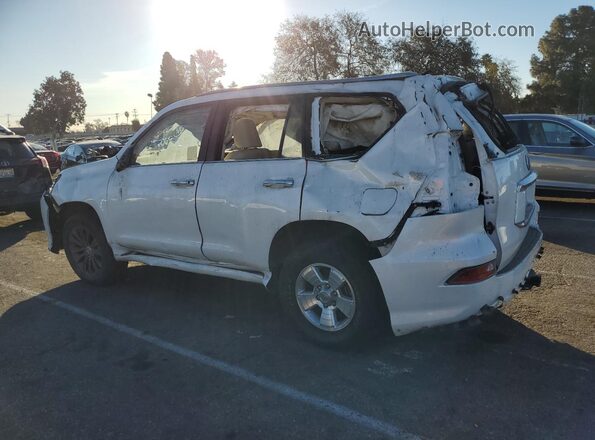 JTJAM7BX9L5256069 2020 LEXUS GX White უკანა მარცხენა