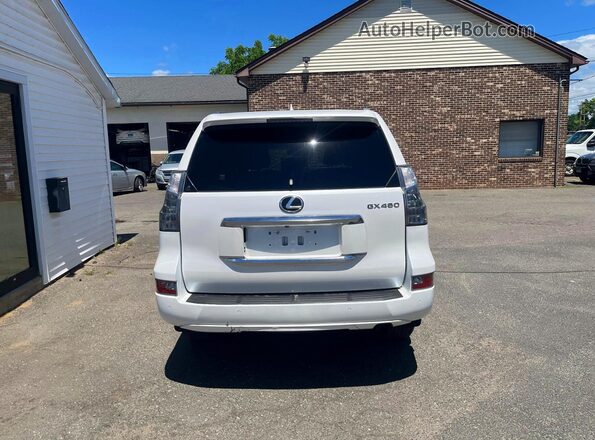 JTJAM7BXXP5372502 2023 LEXUS GX White 