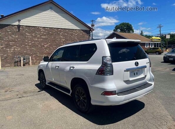 JTJAM7BXXP5372502 2023 LEXUS GX White 