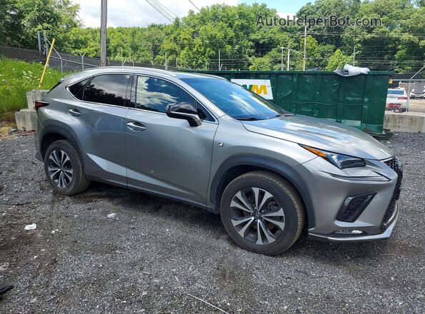 JTJBARBZ0J2156256 2018 LEXUS NX Silver 