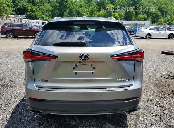 JTJBARBZ0J2156256 2018 LEXUS NX Silver 