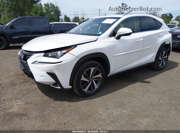 JTJBARBZ0K2181269 2019 LEXUS NX 300 White Передня ліва чверть
