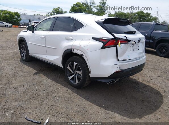 JTJBARBZ0K2181269 2019 LEXUS NX 300 White Задня ліва чверть
