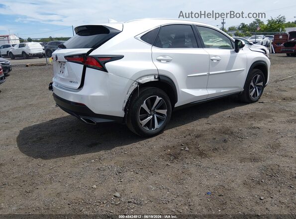 JTJBARBZ0K2181269 2019 LEXUS NX 300 White Задня права чверть