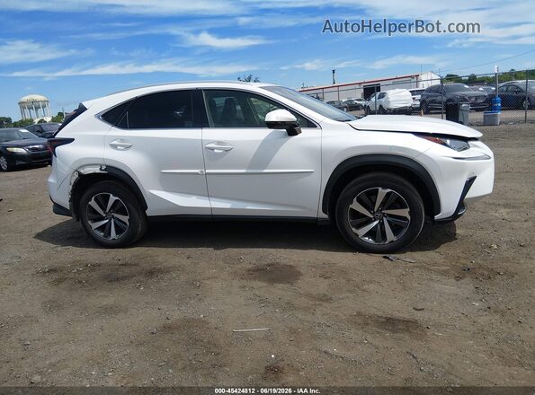 JTJBARBZ0K2181269 2019 LEXUS NX 300 White Вид задньої частини салону