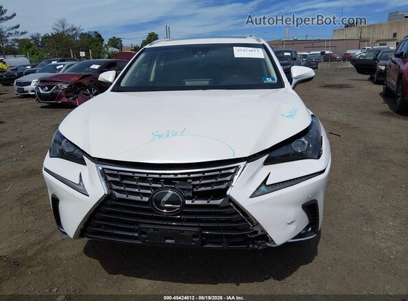 JTJBARBZ0K2181269 2019 LEXUS NX 300 White Вид щитка приладів