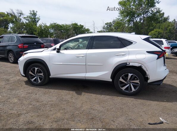 JTJBARBZ0K2181269 2019 LEXUS NX 300 White Панорамний вид салону 360°