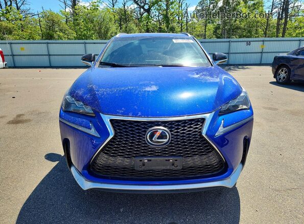 JTJBARBZ1H2110350 2017 LEXUS NX Синий Вид спереди