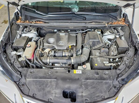JTJBARBZ4H2135596 2017 LEXUS NX White Vista del compartimento del motor