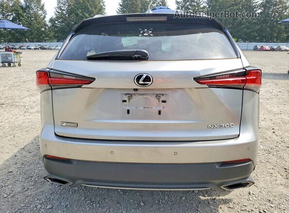 JTJBARBZ4J2158978 2018 LEXUS NX Silver Rear view