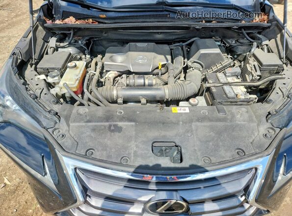 JTJBARBZ5G2084866 2016 LEXUS NX Black 