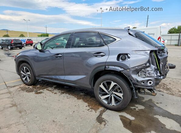 JTJBARBZ5J2163946 2018 LEXUS NX Gray Հետևի ձախ