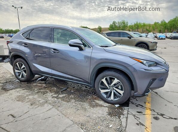JTJBARBZ5J2163946 2018 LEXUS NX Gray Առջևի աջ