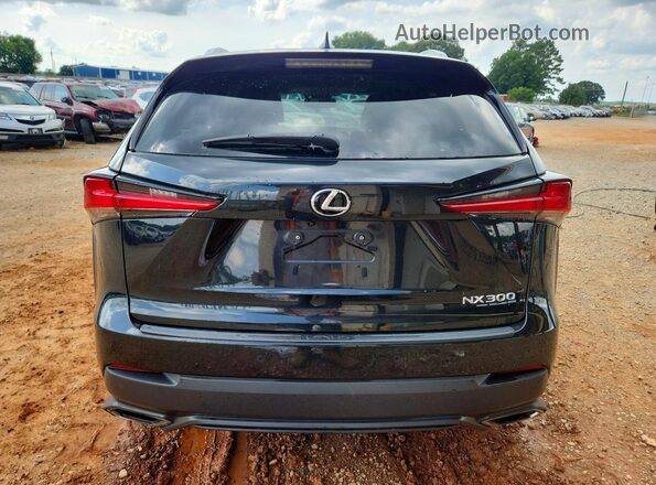 JTJBARBZ5J2173196 2018 LEXUS NX Black Rear view