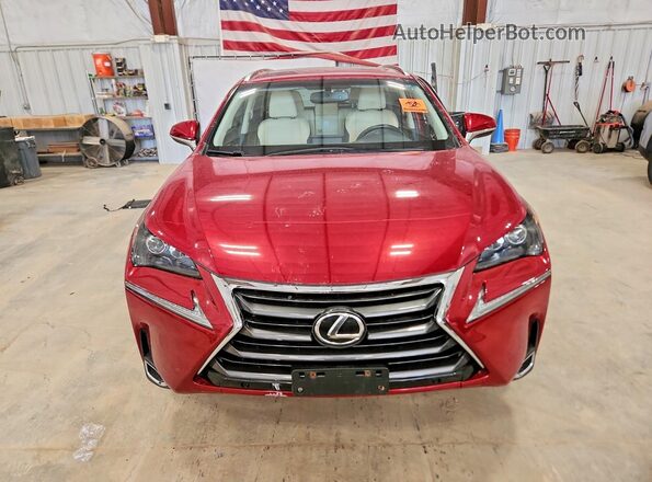 JTJBARBZ8G2050890 2016 LEXUS NX Красный Вид спереди