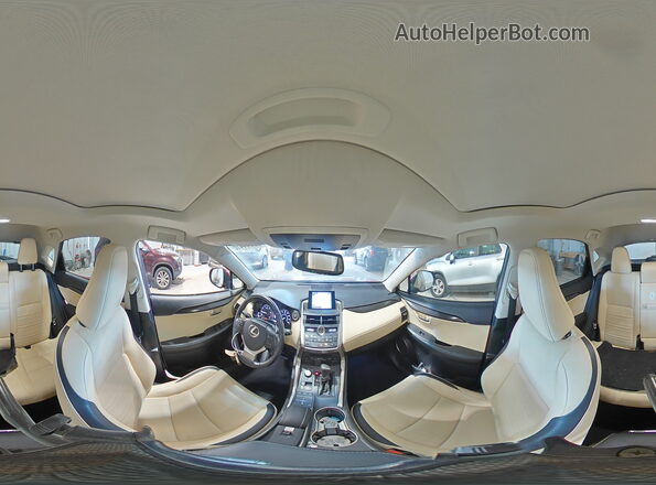 JTJBARBZ8G2050890 2016 LEXUS NX Красный Панорамный вид салона 360°
