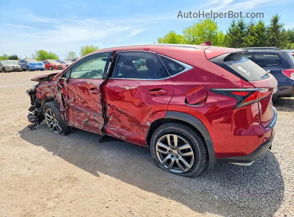 JTJBARBZ8G2076454 2016 LEXUS NX Red 
