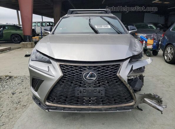JTJBARBZ9K2187281 2019 LEXUS NX Silver Widok z przodu