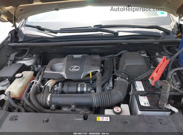 JTJBARBZ9K2210302 2019 LEXUS NX 300 Серый Вид сзади