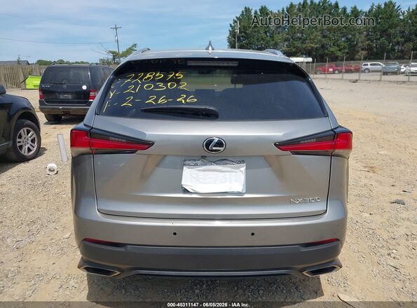 JTJBARBZ9K2210302 2019 LEXUS NX 300 Серый 