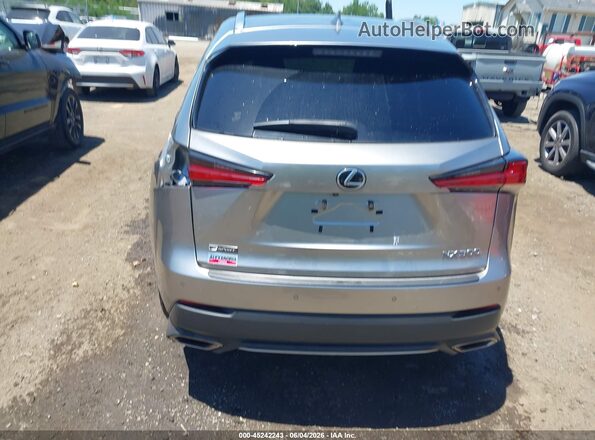 JTJBARBZXK2180906 2019 LEXUS NX 300 Gray 