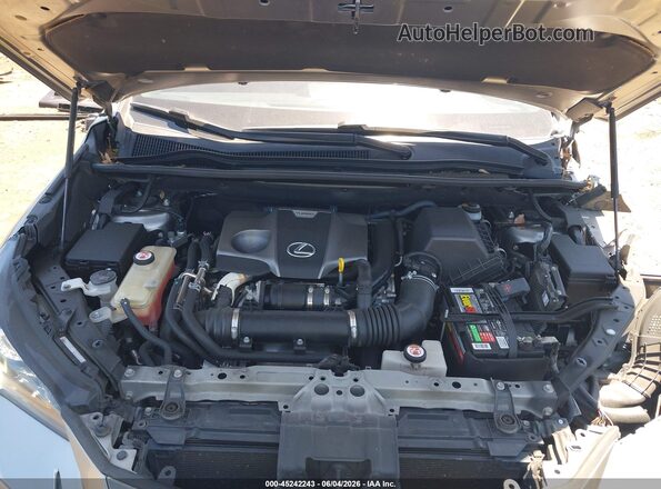 JTJBARBZXK2180906 2019 LEXUS NX 300 Gray Widok z tyłu