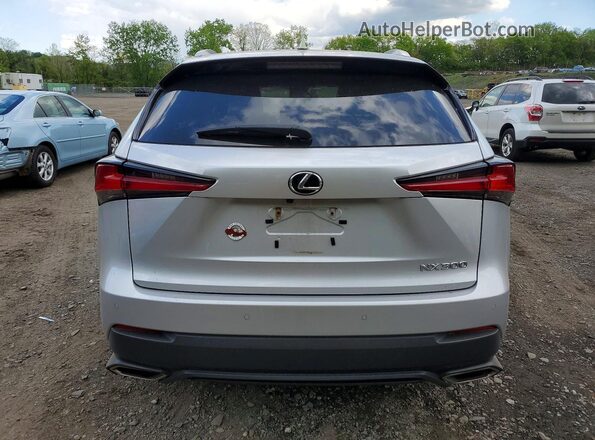 JTJBARBZXK2190111 2019 LEXUS NX Gray Հետևի տեսք