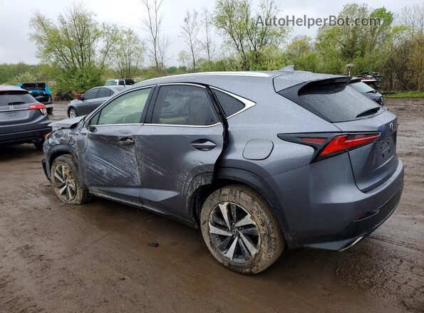 JTJBARBZXK2196586 2019 LEXUS NX Silver Задня ліва чверть