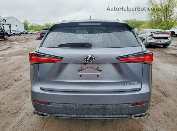 JTJBARBZXK2196586 2019 LEXUS NX Silver Вид ззаду