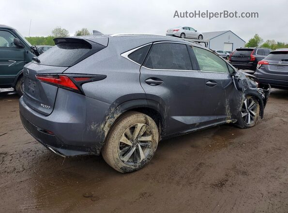 JTJBARBZXK2196586 2019 LEXUS NX Silver Задня права чверть