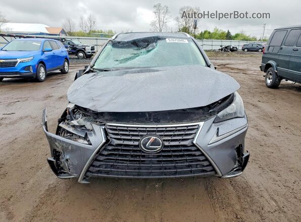 JTJBARBZXK2196586 2019 LEXUS NX Silver Вид спереду