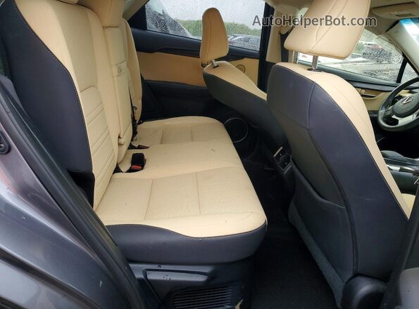 JTJBARBZXK2196586 2019 LEXUS NX Silver Вид задньої частини салону