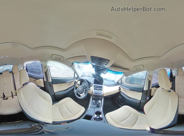 JTJBARBZXK2196586 2019 LEXUS NX Silver Панорамний вид салону 360°