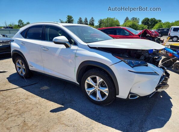 JTJBJRBZ1H2052451 2017 LEXUS NX White 