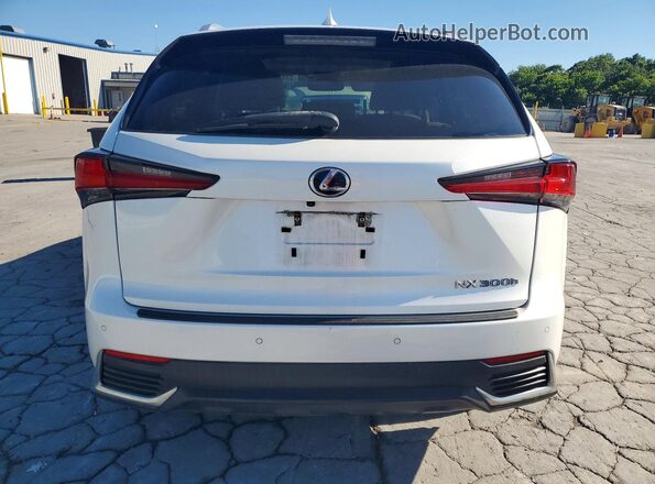 JTJBJRBZ2K2114706 2019 LEXUS NX White Вид ззаду