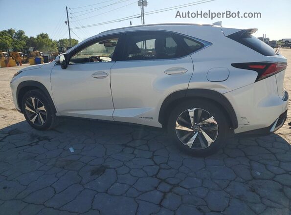 JTJBJRBZ2K2114706 2019 LEXUS NX White Задня ліва чверть