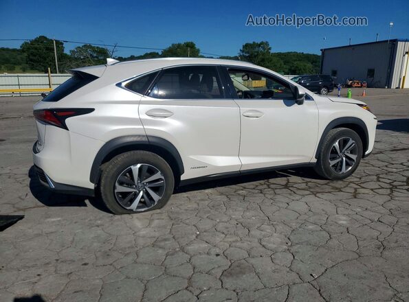 JTJBJRBZ2K2114706 2019 LEXUS NX White Задня права чверть