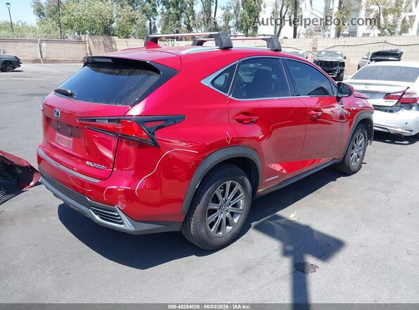 JTJBJRBZ7K2099202 2019 LEXUS NX 300H Red Tył prawy