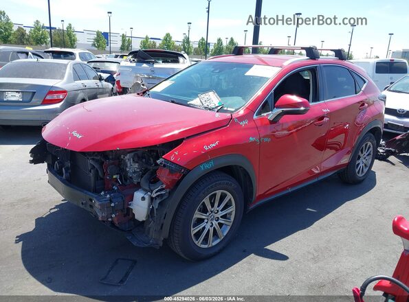 JTJBJRBZ7K2099202 2019 LEXUS NX 300H Red Przód lewy