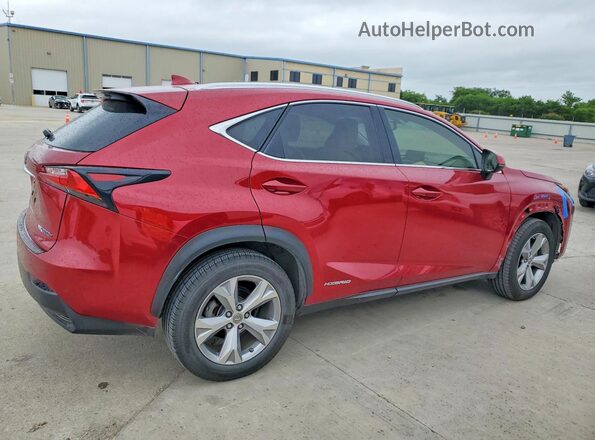JTJBJRBZ8H2055105 2017 LEXUS NX Burgundy Հետևի աջ