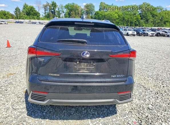 JTJBJRBZ9K2114878 2019 LEXUS NX Black Widok z tyłu