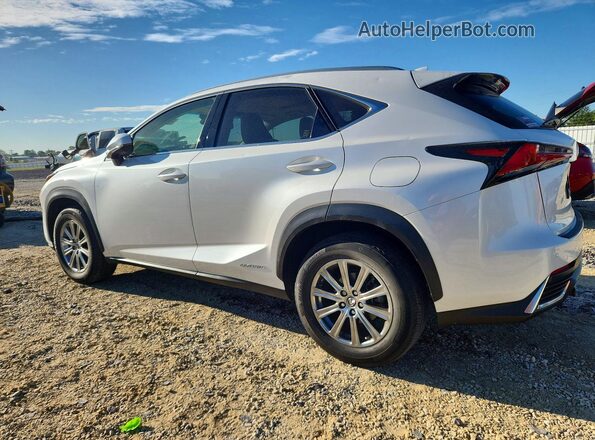 JTJBJRBZ9K2124469 2019 LEXUS NX White 