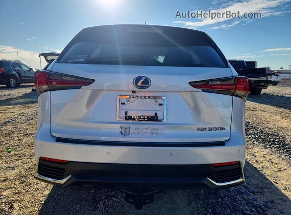 JTJBJRBZ9K2124469 2019 LEXUS NX White 