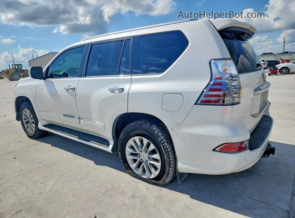 JTJBM7FX0K5216377 2019 LEXUS GX White Հետևի ձախ